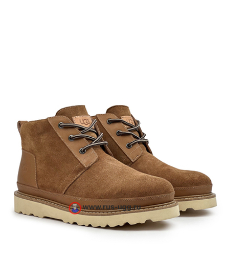 NEUMEL GENTLEMAN Chestnut