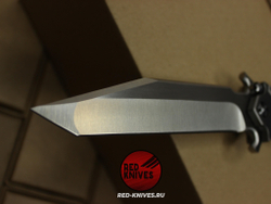 DDR Darrel Ralph AXD 5.5 Tanto Expendables