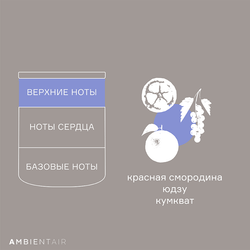 Свеча ароматическая Ambientair Sublime Цитрусовый цвет