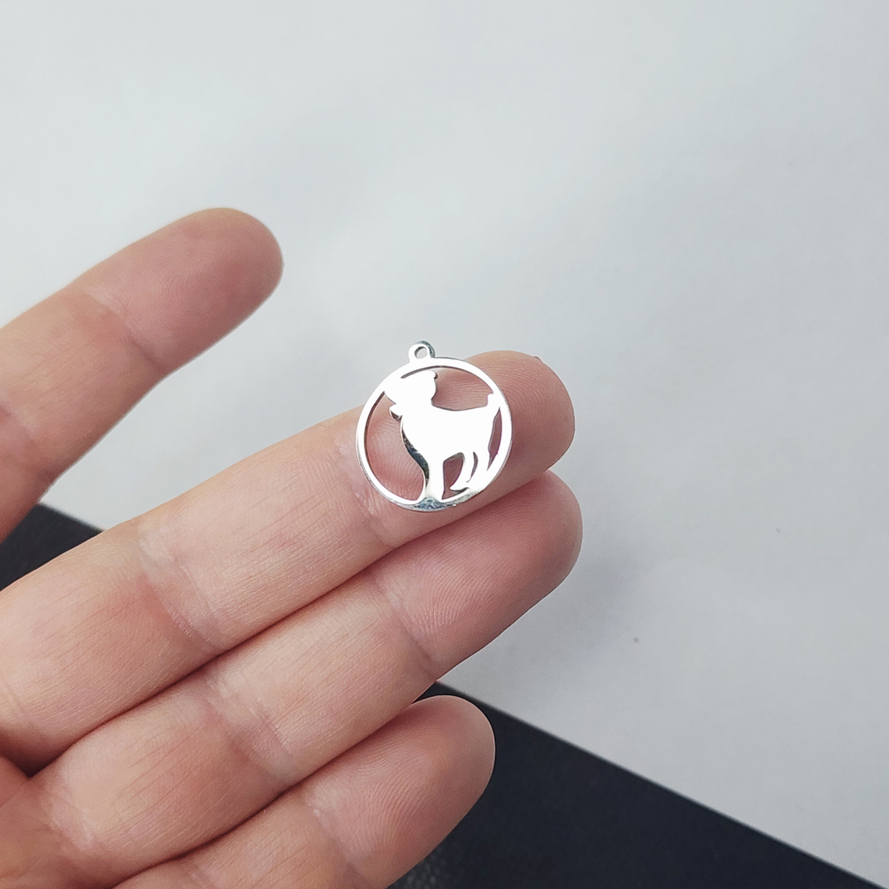 Знаки зодиаков, подвески сталь, р-р 20×17.5мм, штучно