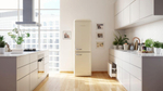 Отдельностоящий холодильник Gorenje ONRK619EC