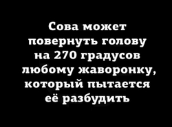 первый для проверки