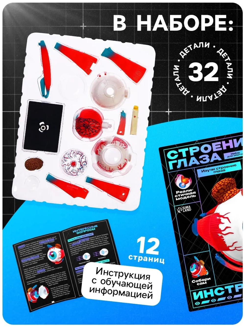 Макет Строения глаза
