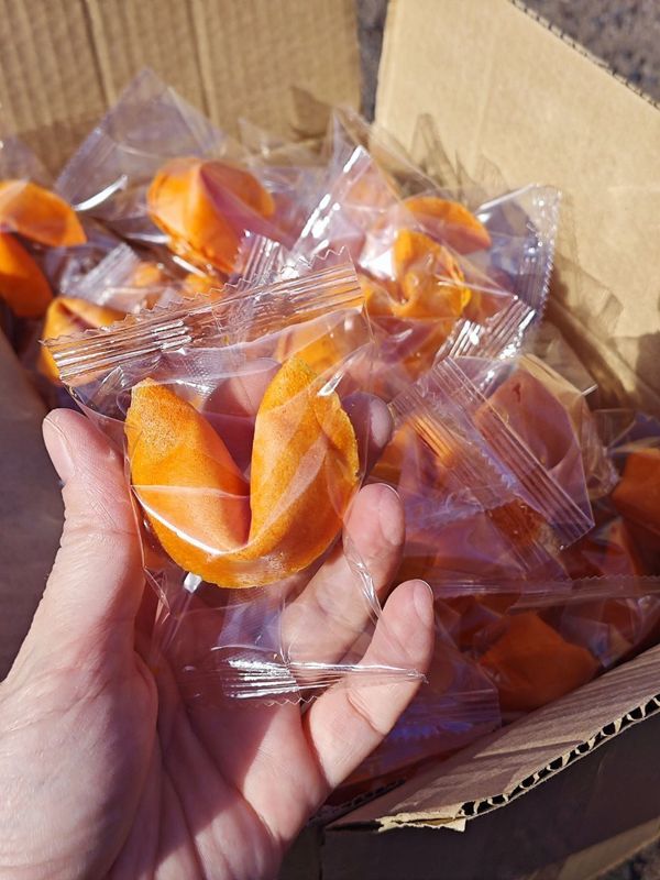 Печенье с предсказаниями оранжевого цвета 300 шт.