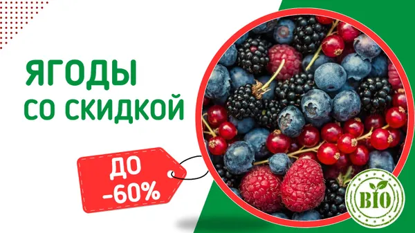 Слайдер Блок 91