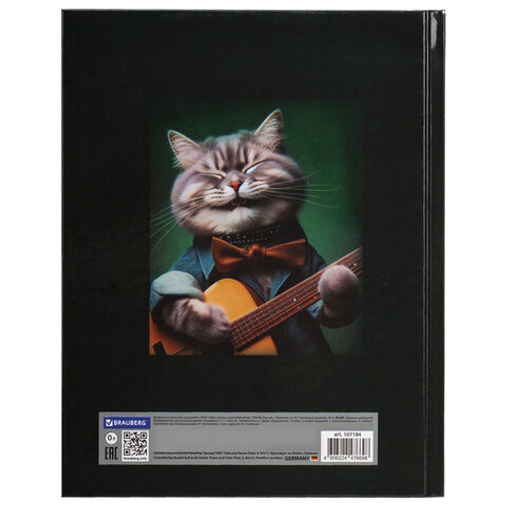 Дневник 5-11 класс 48 л., твердый, BRAUBERG, глянцевая ламинация, с подсказом, "Ты-Гы-Дык", 107184