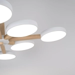 Потолочная люстра Imperiumloft TURNA 228849-26