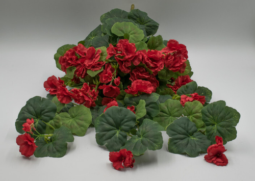 Букет герань ампельная 65см. Артикул: 1616449