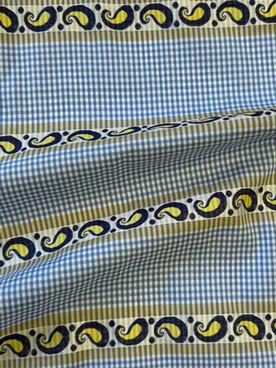 Хлопок Canclini с бело-голубую клетку в полоску с вышитым пейсли