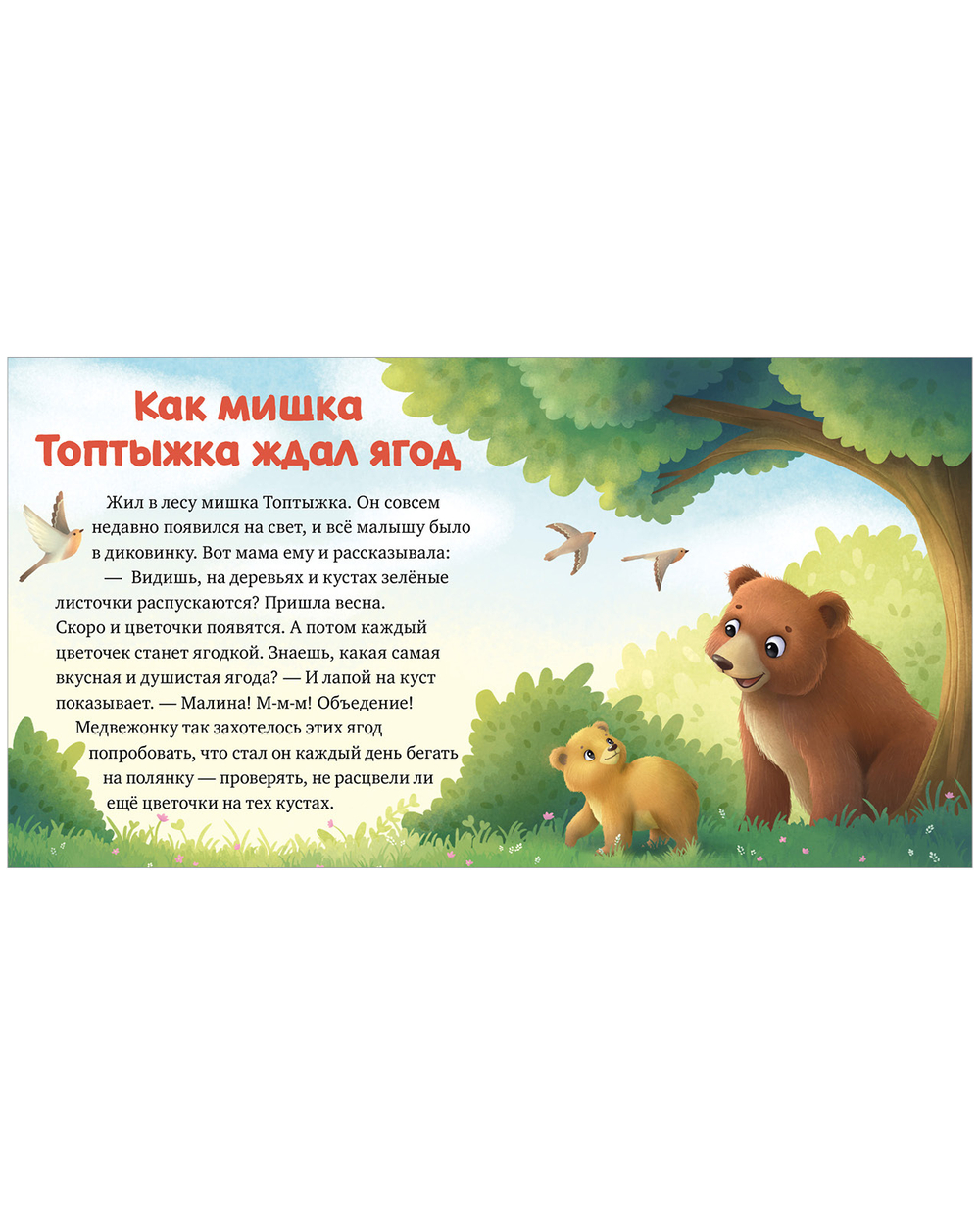 Любознательный малыш. Лесные малыши