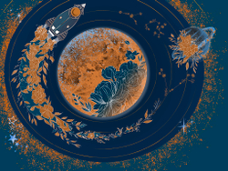 Коллекция COSMOS