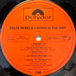 Delta Rebels - Down In The Dirt (Германия 1989г.)