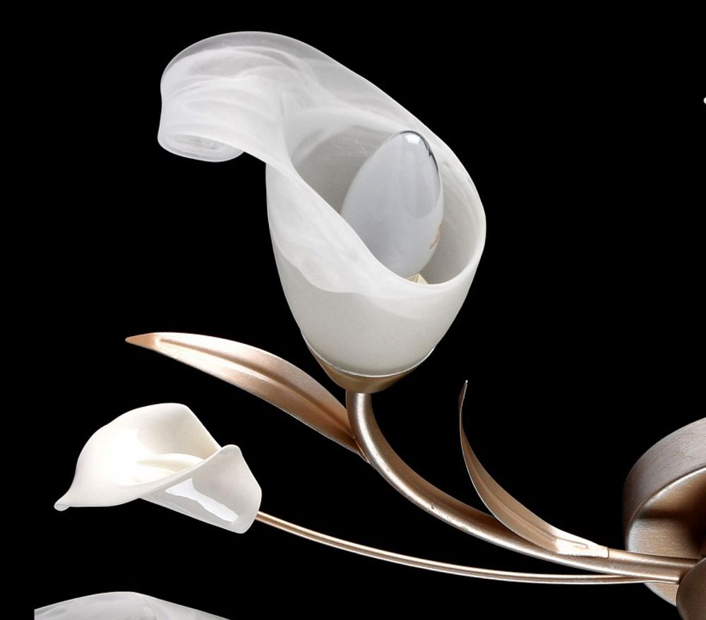 Потолочная люстра MW-Light Восторг 19 242016205