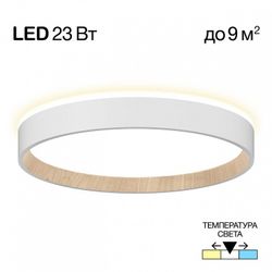 Накладной светильник Citilux Etalon CL750240