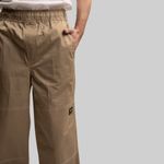  Брюки мужские Dickies Skateboarding Mount Vista Pants артикул:WPSK44DS - купить в магазине Дайс