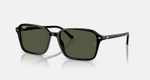 RAY-BAN RAIMOND RB2231 901/31