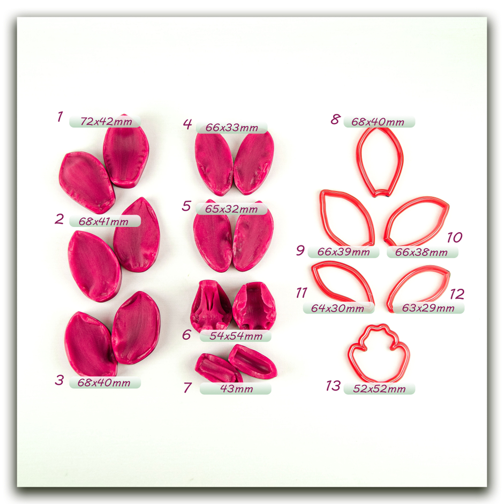 Орхидея цимбидиум