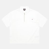  Поло мужское Dickies Cadiz Quarter Zip артикул:DK0A88PIC481 - купить в магазине Дайс