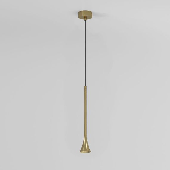 Подвесной светодиодный светильник Elektrostandard Hall 50314 LED a068820