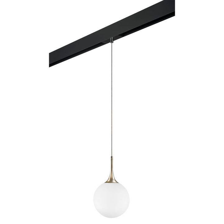 Комплект с трековым светильником Lightstar Globo (813023+595007) PRO813023