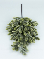 Ветка пихты