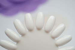 Палитра-ромашка прозрачная (10шт)*1шт