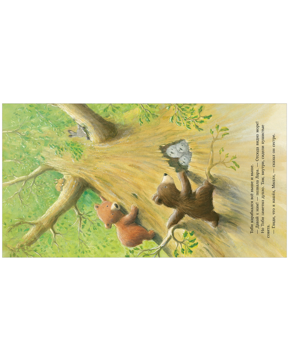 Книжки-картинки. Секрет храброго медвежонка