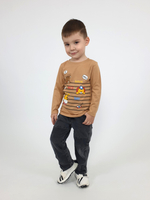 4-117-5 Джемпер для мальчика