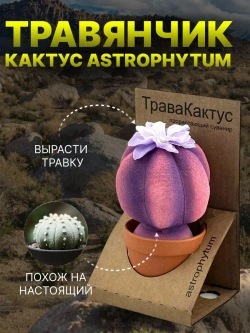 ТРАВЯНЧИК Трава Кактус прорастающий сувенир в ассортименте