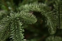 Елка Нормандия стройная 425 см., интерьерная, литая хвоя+пвх, Triumph Tree (73014)