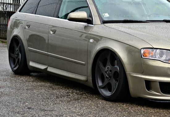 Листва (молдинги) на двери для Audi A4 B6