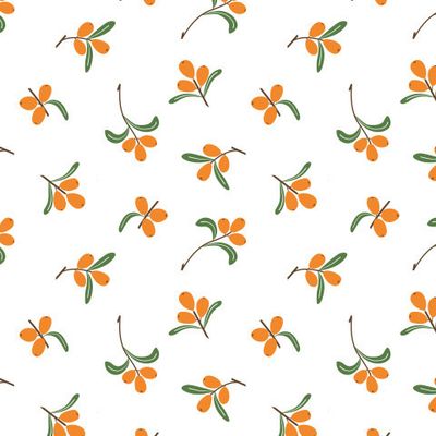 Облепиха. Sea-buckthorn.