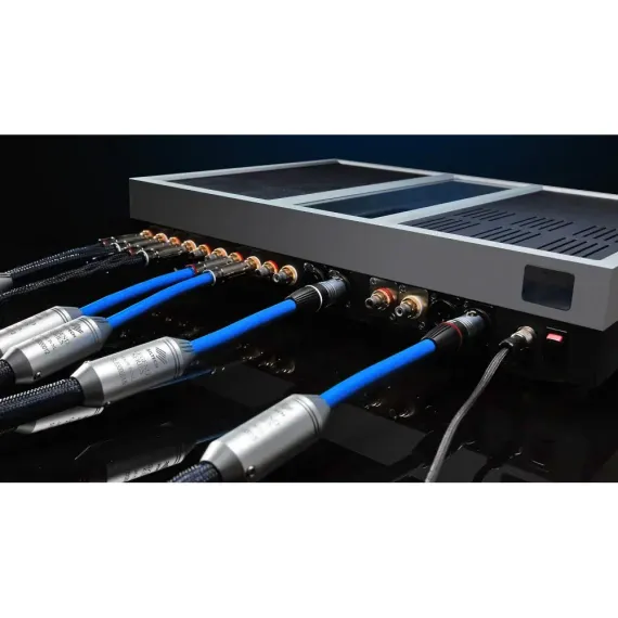 Siltech Classic Legend 880i 2RCA - 2RCA 1m