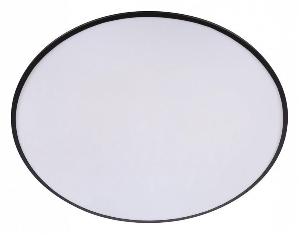 Накладной светильник Loft it Brim 10226 Black