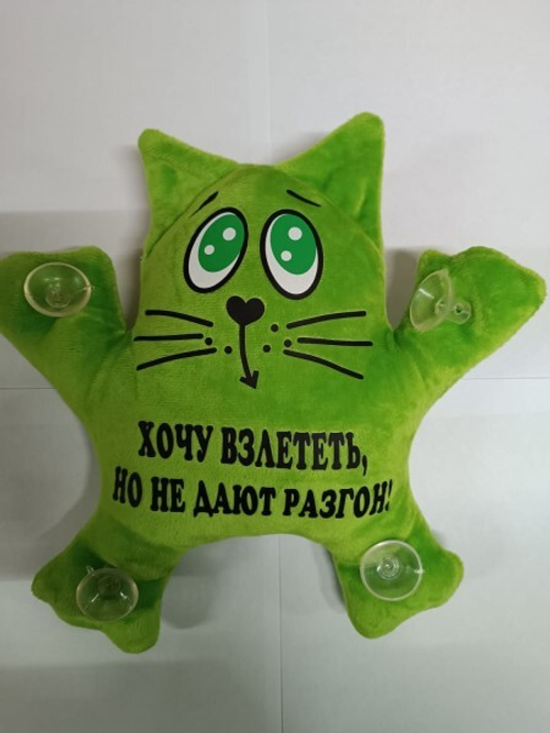 Игрушка кот большой на присоске в окно с надписью  Хочу взлететь, но не дают разгон  (P.R.C.)