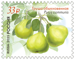 Марка номиналом 33 рубля. Растения Крымского полуострова