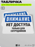 Табличка для обеспечения безопасности "Внимание, нет доступа", для офиса, по охране труда для предприятия, организаций, 40х30 см, Silver Plane x Айдентика Технолоджи