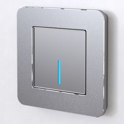 Рамка на 1 пост Werkel Platinum (алюминий) W0012606