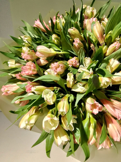 Гвоздика бывает стильной в букете с эвкалиптом (М0020)