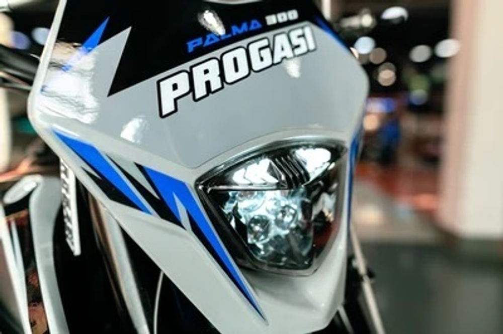 Мотоцикл кроссовый эндуро PROGASI Palma 300