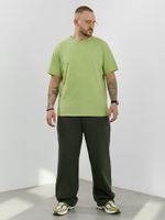 Брюки мужские Интер-2 Виотекс ХАКИ