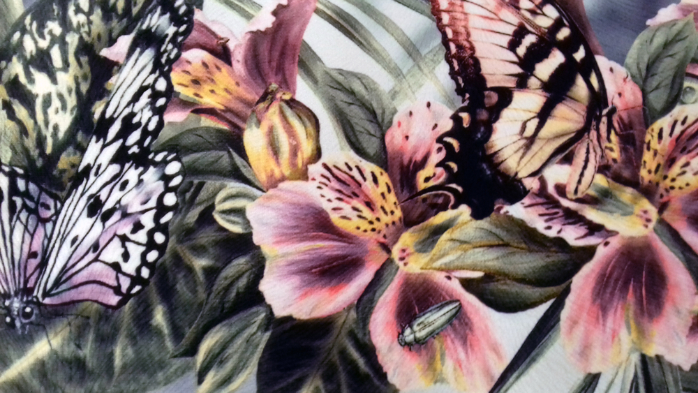 Микровелюр Xpoint 0079.02 Бабочки