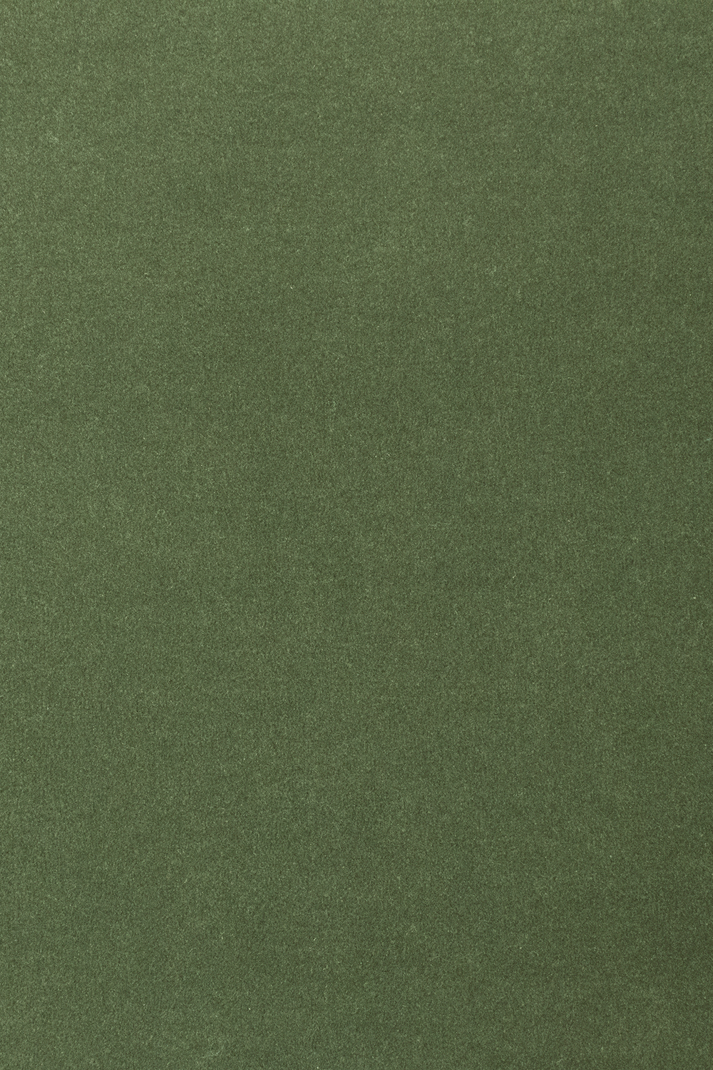 Ковровое покрытие AW The Velvet Collection Onione 24