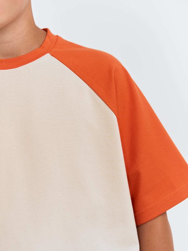Футболка колор блок 