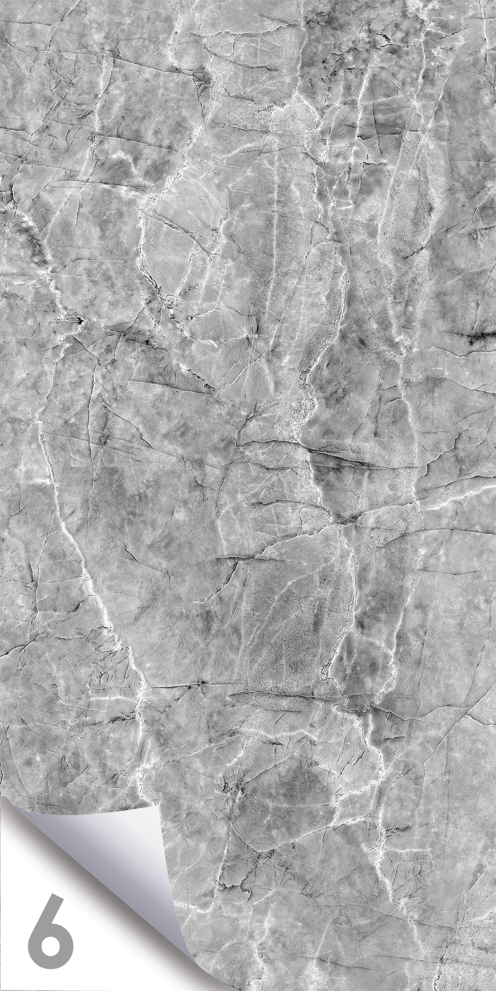 Шерл Сильвер