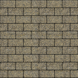 Тротуарная плитка ПРЯМОУГОЛЬНИК 200x100 мм - Гранит+ Желтый с черным