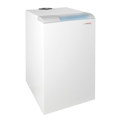 Котел газовый напольный Protherm МЕДВЕДЬ 20 PLO - 17 кВт (одноконтурный, открытая камера сгорания)