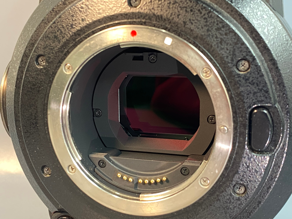 Canon EOS C300 + Zacuta rig