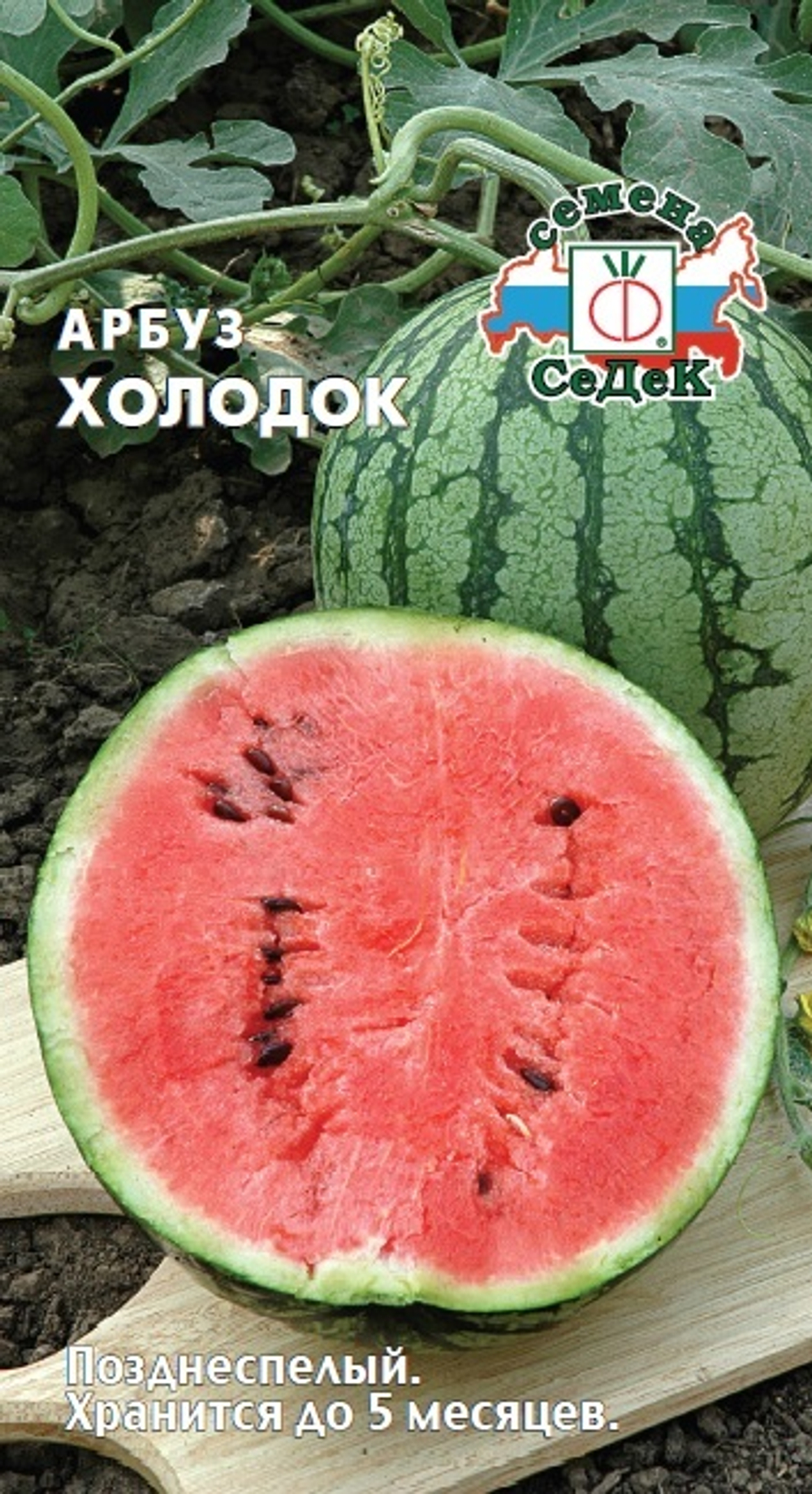 арбуз Холодок