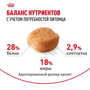 Уценка! Срок 09.2025/ Сухой корм Royal Canin Yorkshire Terrier Adult для взрослых собак породы Йоркширский Терьер от 10 месяцев